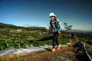 BIB: 
                            <button type="button" onclick="openModal(19122166)" class="btn btn-primary btn-sm float-right btn-popup" data-toggle="modal" data-target=".modal-high-quality">
                        <i class="fas fa-shopping-cart"></i> Add to Cart
                    </button>
                                            <button type="button" onclick="isThisMe(19122166, true)" class="btn btn-success btn-sm float-right btn-popup btn-isme hidden" data-toggle="tooltip" data-placement="bottom" title="นี่คือรูปของคุณใช่ไหม คลิกที่นี่เพื่อเอาเข้าอัลบั้ม">
                        <i class="fas fa-plus"></i> Add to album
                    </button>
                    <button type="button" onclick="isThisMe(19122166, false)" class="btn btn-warning btn-sm float-right btn-popup btn-isnotme hidden">
                        <i class="fas fa-ban"></i> Remove from album
                    </button>